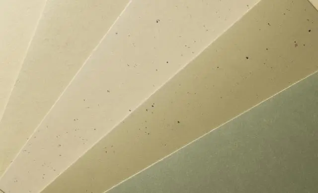 Linoleum Sortiment Boeden Hansa-Bodenkonzepte